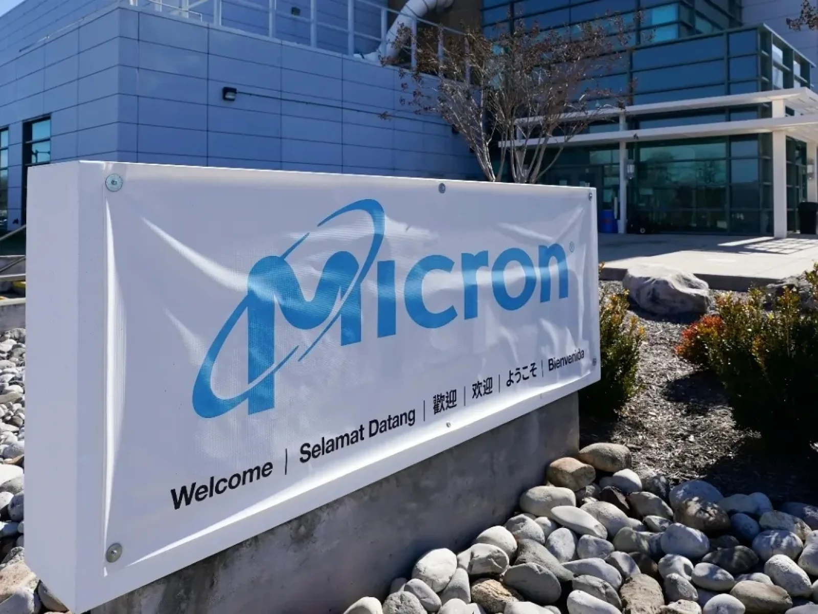 Micron Blue Ridge